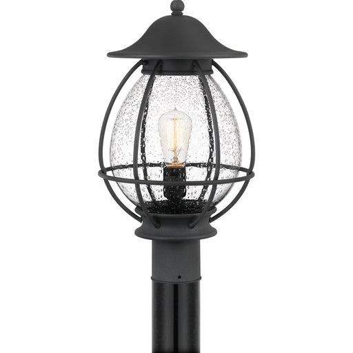 Boston 1-Light Outdoor Lantern in Mottled Black